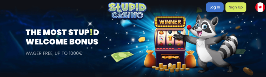 Stupid Casino bonus